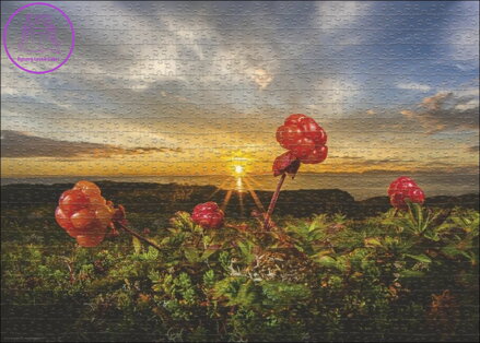 HEYE Puzzle Ostružiny 1000 dílků