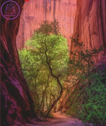 HEYE Puzzle Power of Nature: Zpívající kaňon 1000 dílků