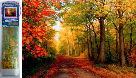 Norimpex Diamantové malování Podzim v lese 30x40cm