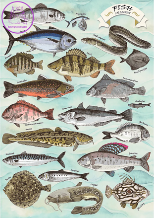 TREFL Puzzle Premium Plus Finders Keepers: Ryby 500 dílků