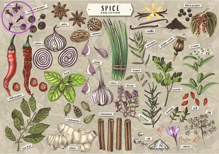 TREFL Puzzle Premium Plus Finders Keepers: Koření 500 dílků