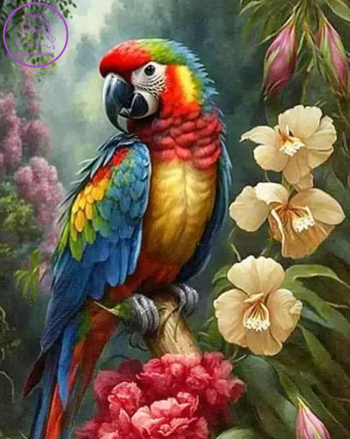 NORIMPEX Diamantové malování Papoušek Ara 30x40cm