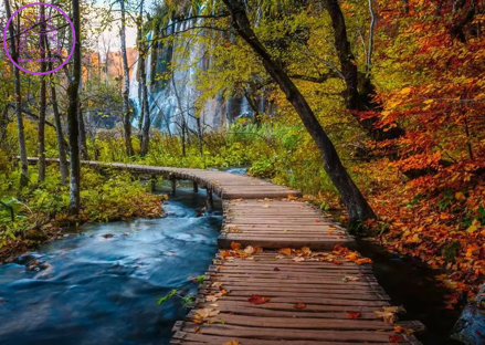 RAVENSBURGER Puzzle Tajemný les 1000 dílků