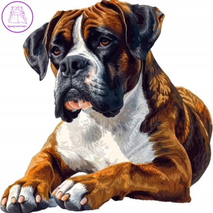 NORIMPEX Diamantové malování Boxer 30x40cm