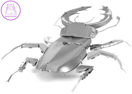 METAL EARTH 3D puzzle Roháč obecný