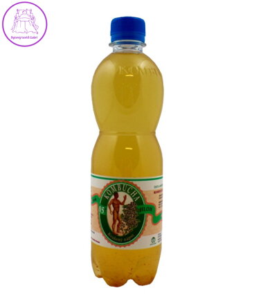 Kombucha 0,5l hloh Stev. 75
