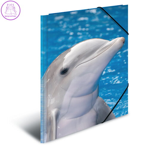 Deska s gumičkou PP A3 Delphins