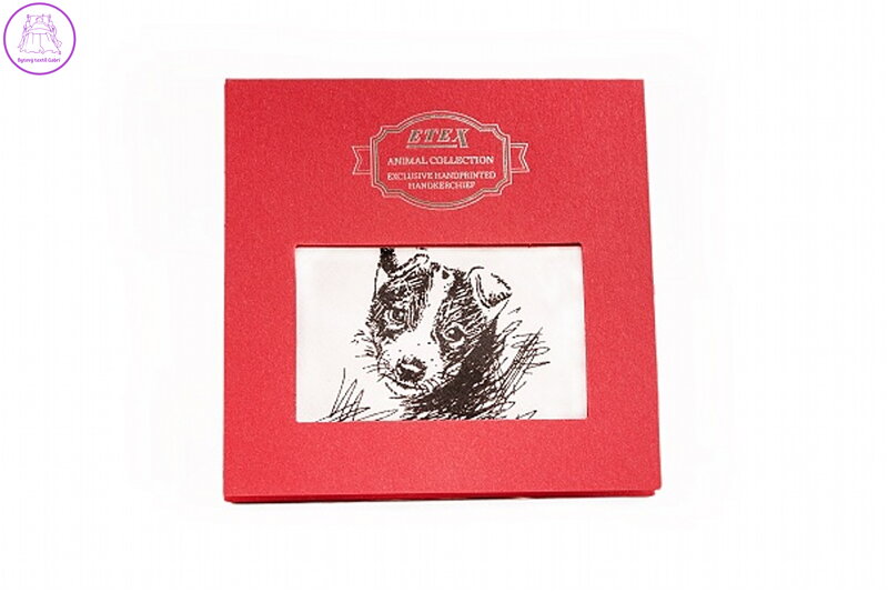 ETEX s.r.o. Kapesník L35 dárková krabička Pes (1 ks)