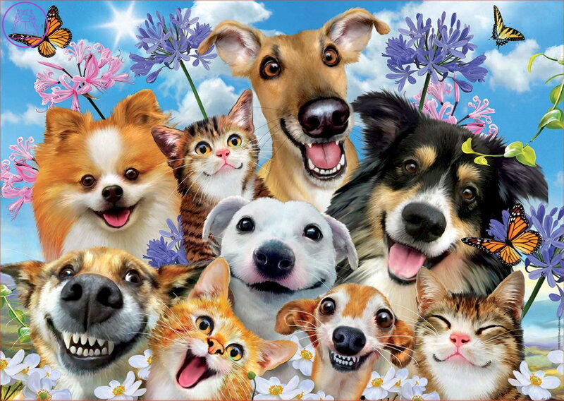 EDUCA Puzzle Zábava na slunci 500 dílků