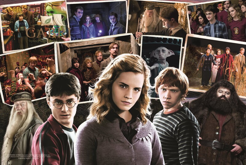 TREFL Puzzle Harry Potter s přáteli 160 dílků