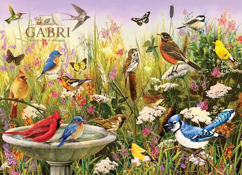 COBBLE HILL Puzzle Opeření přátelé 1000 dílků