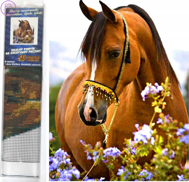 Norimpex Diamantové malování Koňská něha 30x40cm