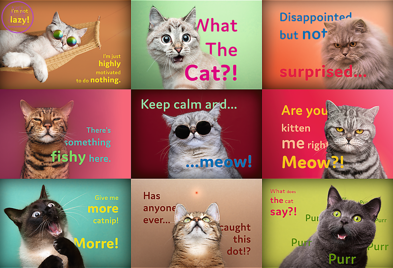 TREFL Puzzle Vtipné kočičí výrazy 1500 dílků