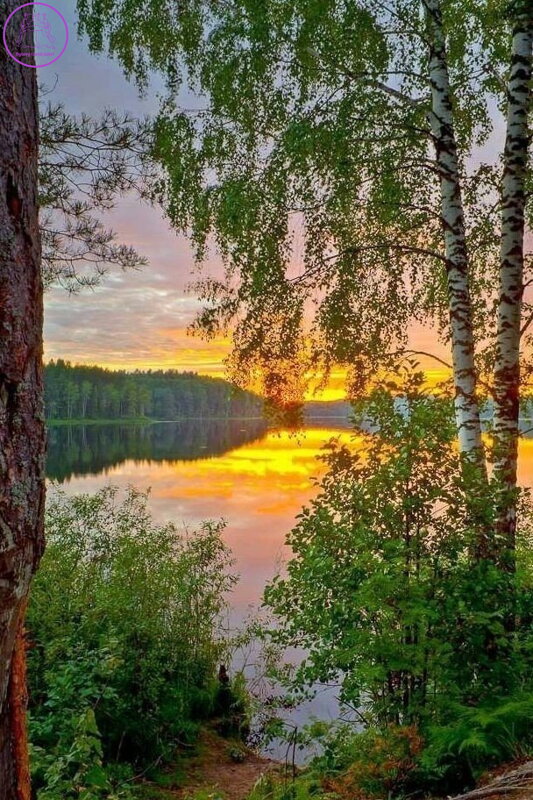 NORIMPEX Diamantové malování Západ slunce nad jezerem 30x40cm