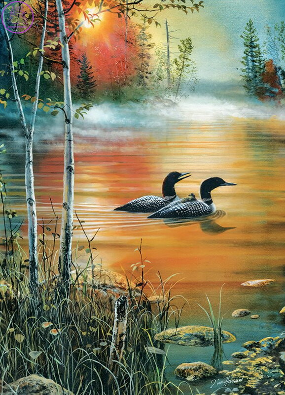 COBBLE HILL Puzzle Ranní mlha 1000 dílků