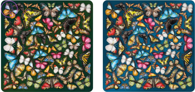 CURIOSI Oboustranné dřevěné puzzle Double: Motýli 165 dílků