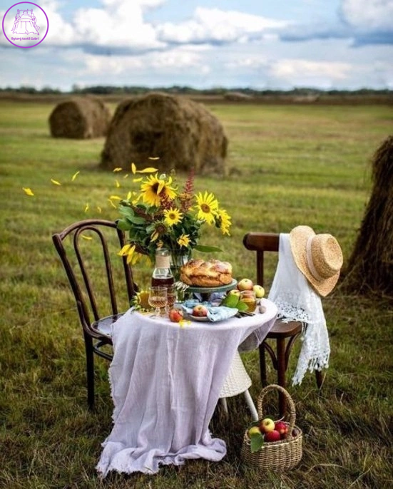 NORIMPEX Diamantové malování Snídaně na poli 30x40cm