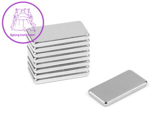 Magnet 10x20 mm