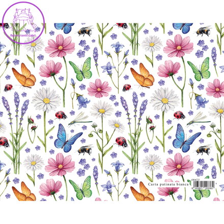 Dárkový balicí papír GARDEN 70x100 cm - luční květiny a hmyz