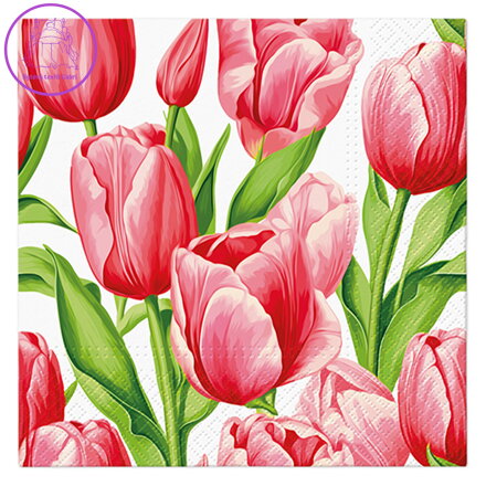 Ubrousky PAW L 33x33cm Tulip Time