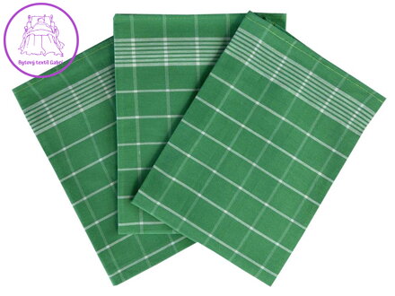 Svitap Utěrka Pozitiv Egyptská bavlna 50x70 cm zelená/bílá 3 ks