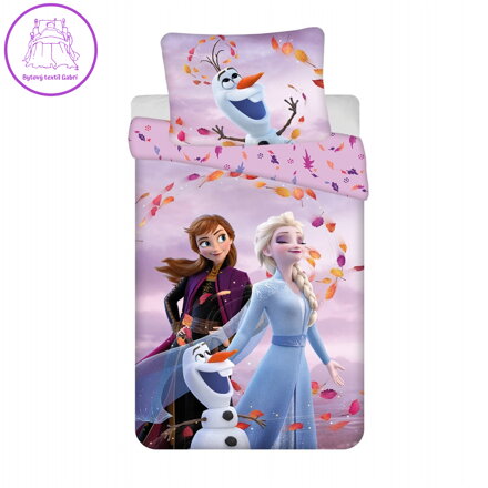 Jerry Fabrics Povlečení Frozen 2 Sky 140x200, 70x90 cm