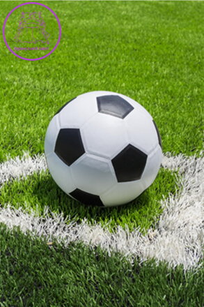 Jerry Fabrics Dětská fleecová deka Fotbal 100x150 cm