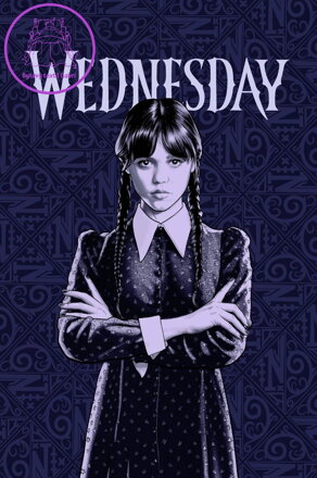 Jerry Fabrics Dětská fleecová deka Wednesday 100x150 cm