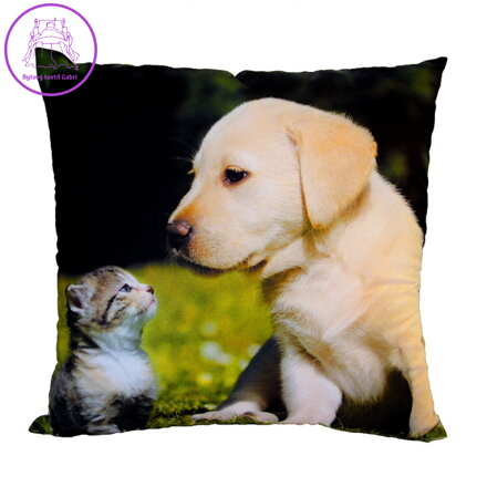 Dadka Fotopolštářek Kotě a štěně na trávě 40x40 cm