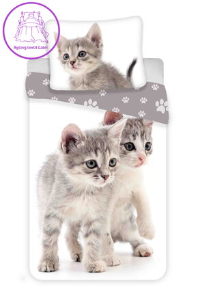 Jerry Fabrics Povlečení fototisk Kitten grey 140x200, 70x90 cm