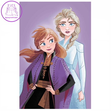 Jerry Fabrics Mikroflanelová deka Frozen Purple 05 100x150 cm