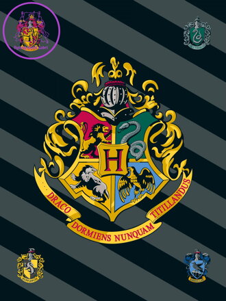 Jerry Fabrics Dětská fleecová deka Harry Potter 067 100x150 cm