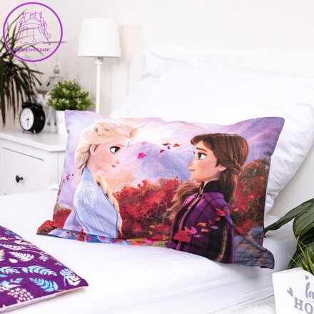 Jerry Fabrics Osuška Frozen 2 Wind 70x140 cm