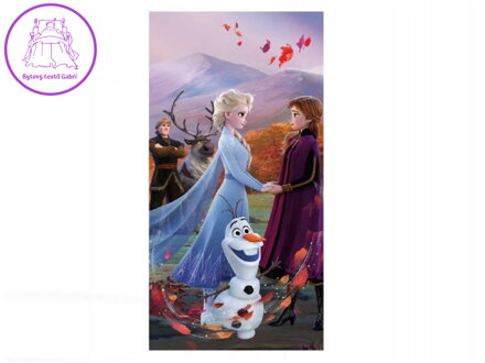 Jerry Fabrics Osuška Frozen 2 Wind 70x140 cm