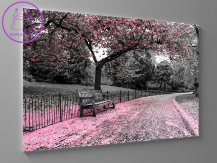 Obraz lavička v parku