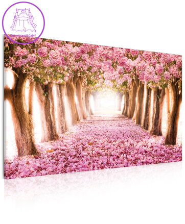Obraz na plátně Kvetoucí stromy