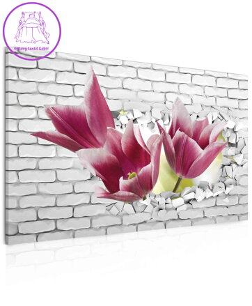 Obraz tulipány ve zdi