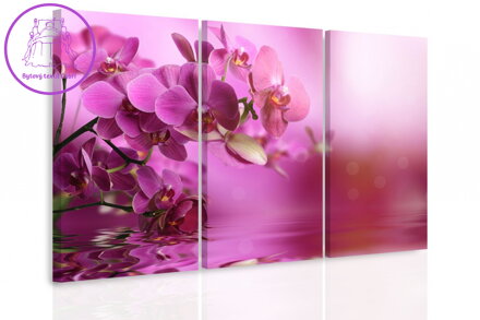 Vícedílný obraz - Orchidej na hladině