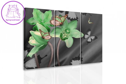Vícedílný obraz - Zelená orchidej a motýli