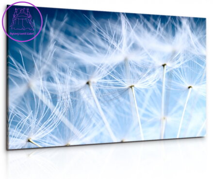 Obraz smetánka lékařská - fialová