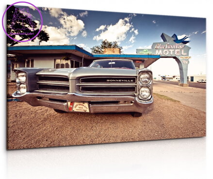 Obraz smetánka lékařská - hnědá