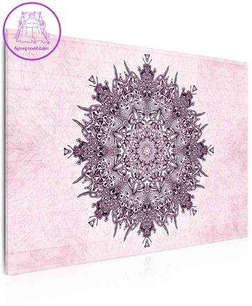 Obraz mandala PINK