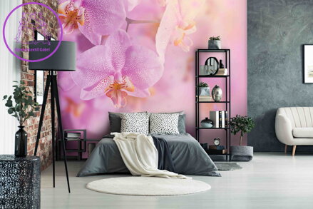 Tapeta Orchidej něžná