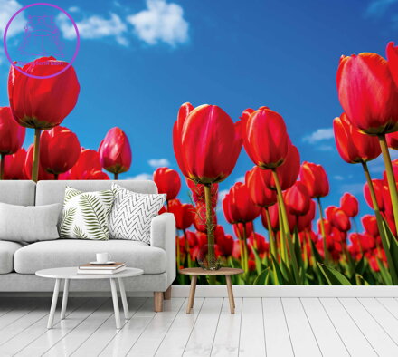 Tapeta Červené tulipány
