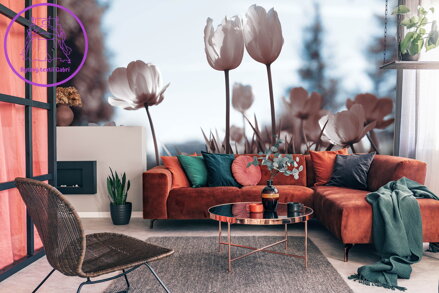 Tapeta Tulipány na poli
