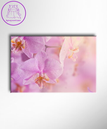 Obraz rozkvetlá orchidej