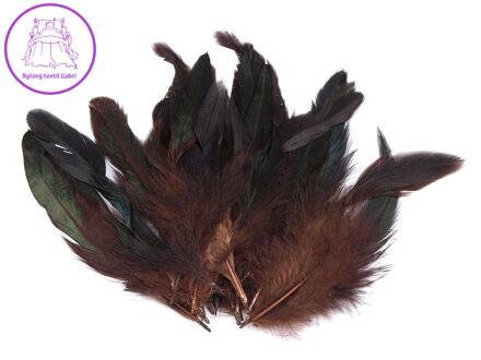 Slepičí peří délka 6-20 cm