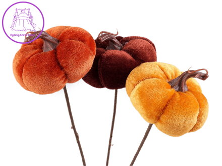 Zápich sametová dýně Zápich sametová dýně