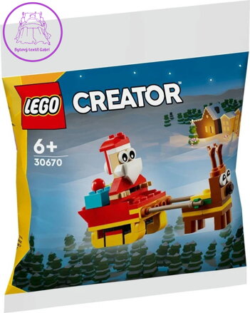 LEGO CREATOR Santova jízda na saních 30670 STAVEBNICE
