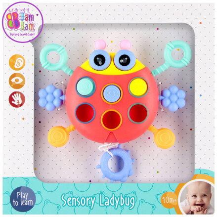 BAM BAM Baby beruška senzorická brouček s kousátky na natažení